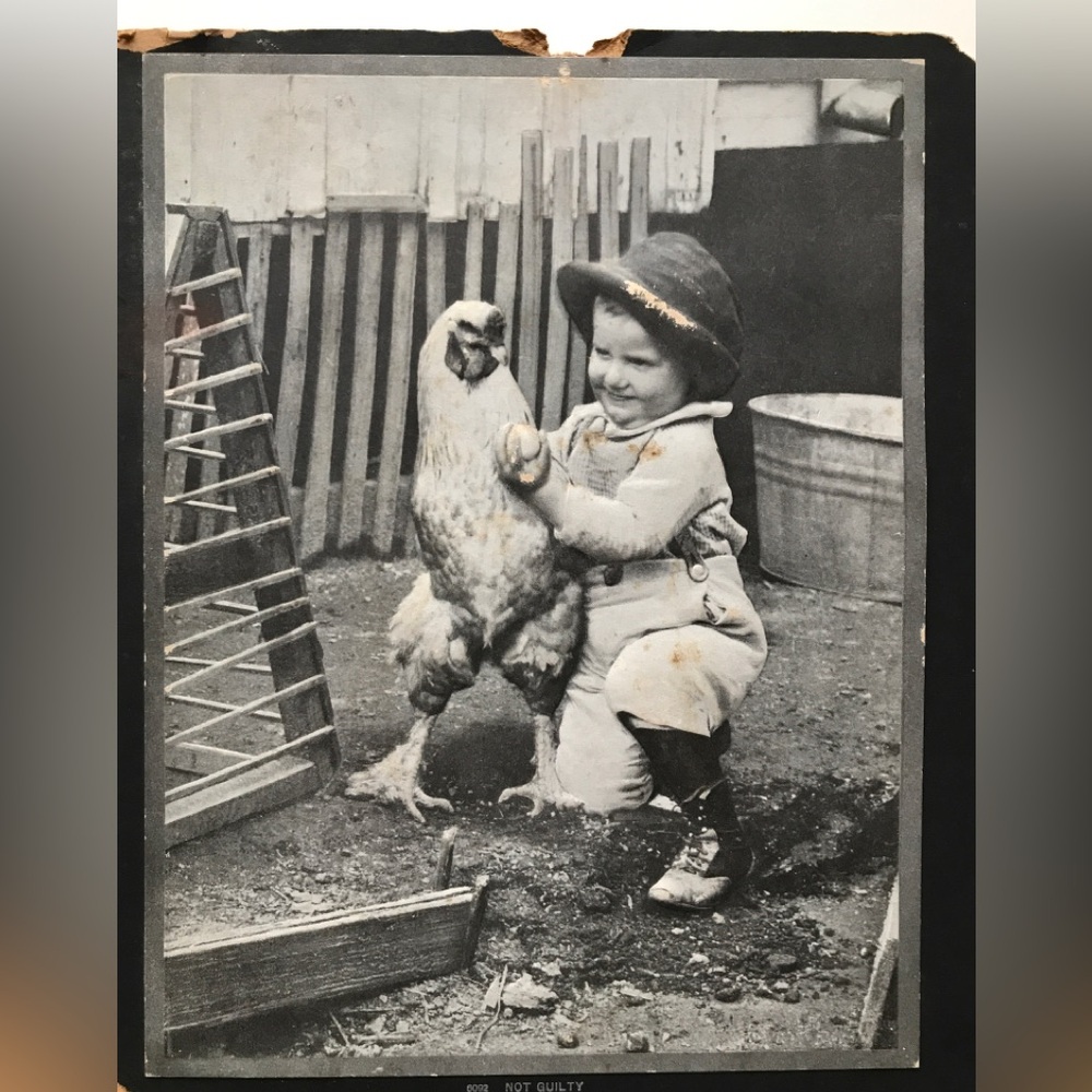 Vintage Embossed old photograph Farm Boy and Chicken with cardboard backing 2D